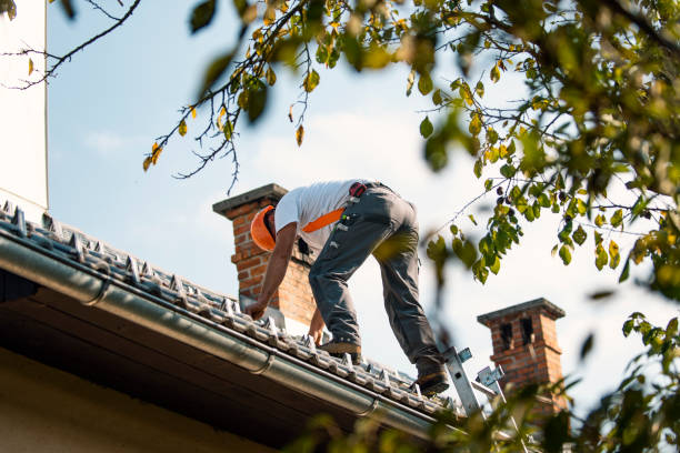 Best Commercial Roof Installation  in Palacios, TX